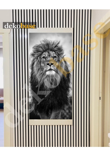 60x270 cm Beyaz Renk Akustik Ahşap Duvar Paneli modelleri