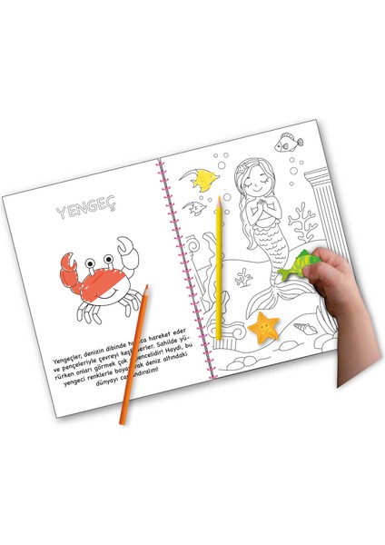 Bitmeyen Tükenmeyen Deniz Kızı Temalı Sticker Boyama Kitabı Eğlenerek Öğren Boya ve Keşfet