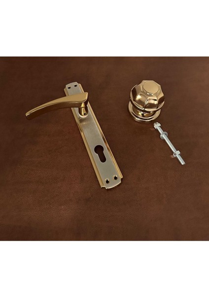 Derya Saten Gold Aynalı Yale Çelik Kapı Kolu Sol Basar Tek Taraf + Tokmak Kapı Babası