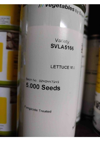 Sv 5166 Kıvırcık Kaplı Marul Tohumu 5.000 Adet ( Güzlük, Kışlık)