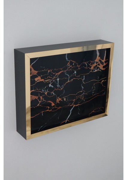 Lüx Siyahgold-Dragon 32X40-25X35 Sigorta Priz ve Modem Saklama Kutusu,kablo Gizleme Düzenleyici Kut