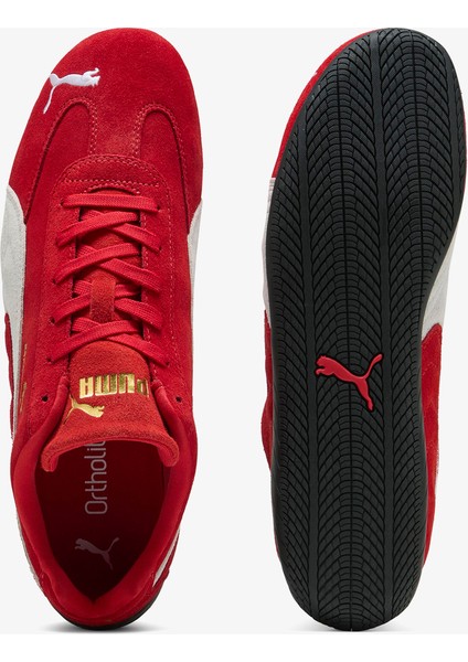 Speedcat Og.02