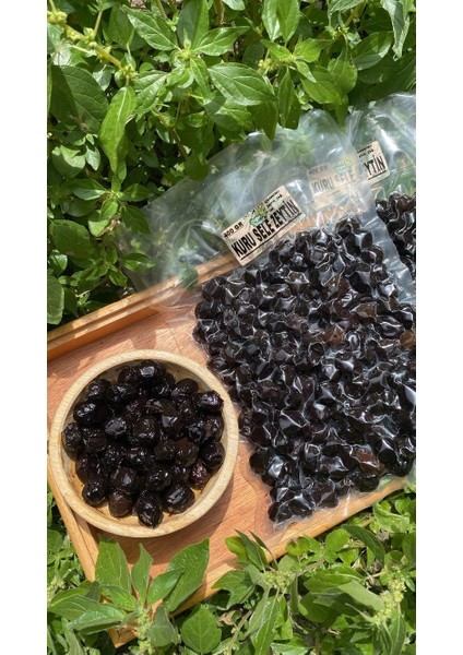 Kuru Sele Zeytin 400 gr fiyatları
