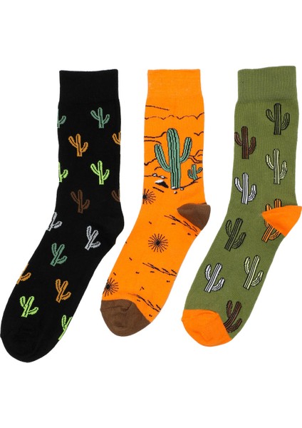 ml Cactus 3lu 34US1 5fx Siyah Erkek Çorap