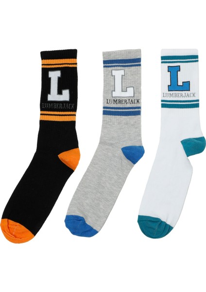 ml Lıfe 3lu 34US1 5fx Grı Multı Erkek Çorap