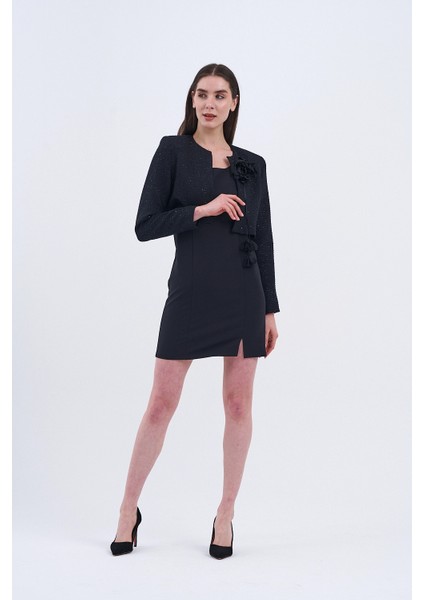 Trend Kadın Modern ve Şık Ceket ve Elbise Kombini