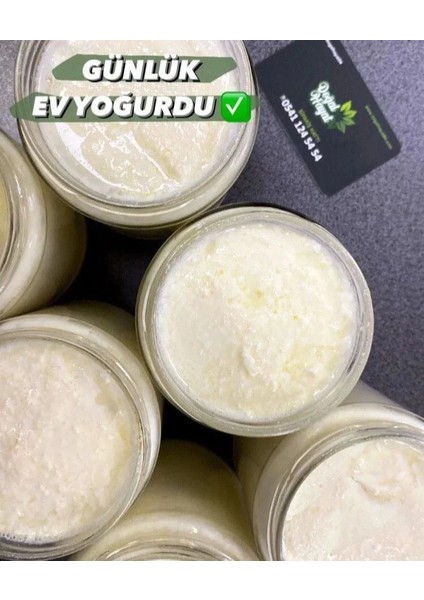 Yoğurt (Ev Yoğurdu)