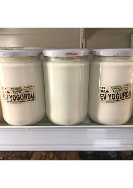 Yoğurt (Ev Yoğurdu) fiyatları