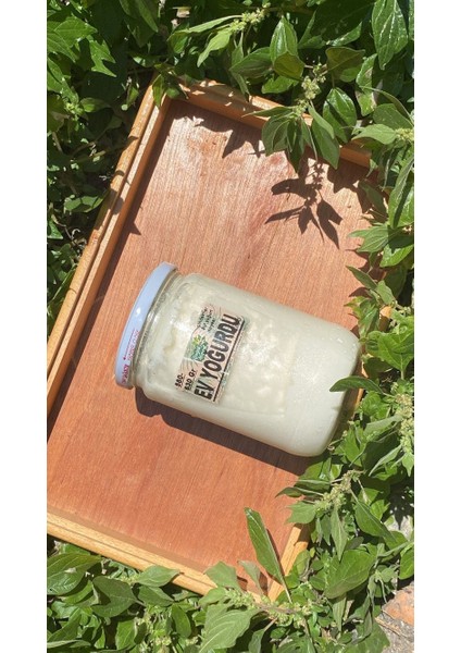 Yoğurt (Ev Yoğurdu) modelleri