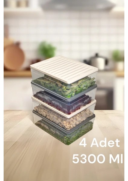 4'lü Derin Buzdolabı Organizer Set Düzenleyici Saklama Kabı Mikrodalga Difriz Kabı 5300ML