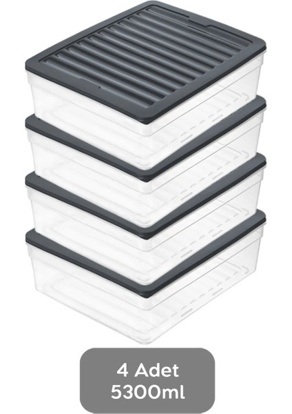4'lü Derin Buzdolabı Organizer Set Düzenleyici Saklama Kabı Mikrodalga Difriz Kabı 5300ML