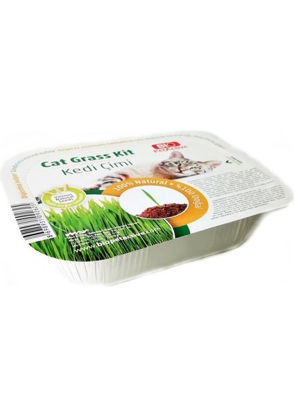 Cat Grass Kit Fileli Doğal Kedi Çimi Kiti - 1 Adet