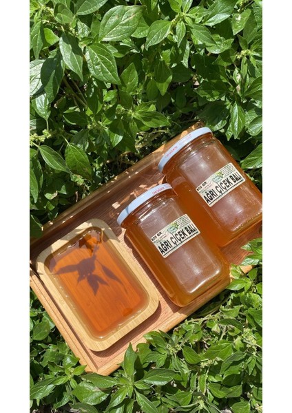 Çiçek Balı (Ağrıı) 800 gr fiyatları