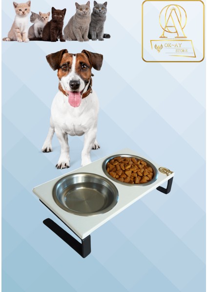 Kedi ve Köpekler Için Sağlıklı Yeme Standı, %10 Eğimli Tasarım ve Kaymaz Ayaklar