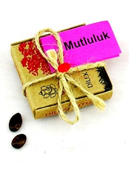Dilek Tohumları - Mutluluk