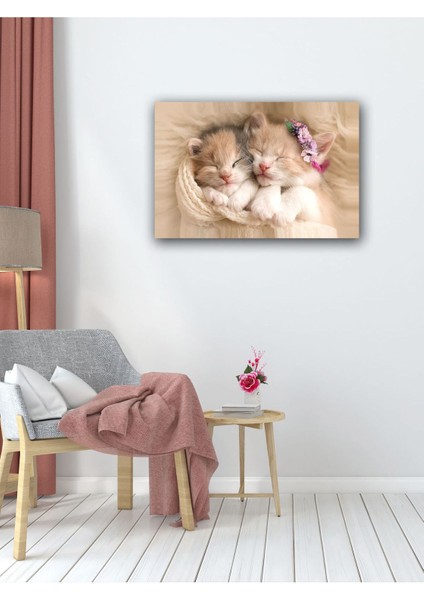 Dekoratif Sevimli Yavru Kedi Tablosu