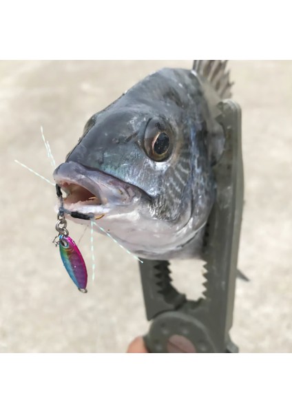 Rudie’s Gyoshi Metal 0.6gr Sardine fiyatları