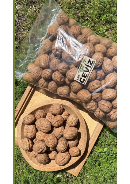 Ceviz (Kabuklu) 1 kg