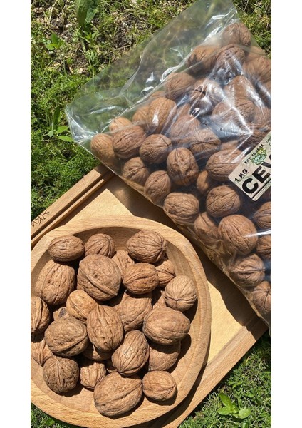 Ceviz (Kabuklu) 1 kg