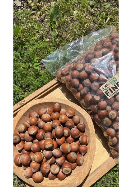 Fındık (Kabuklu Fındık) 1 kg fiyatları