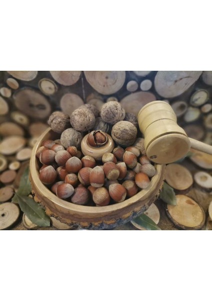 Fındık (Kabuklu Fındık) 1 kg modelleri