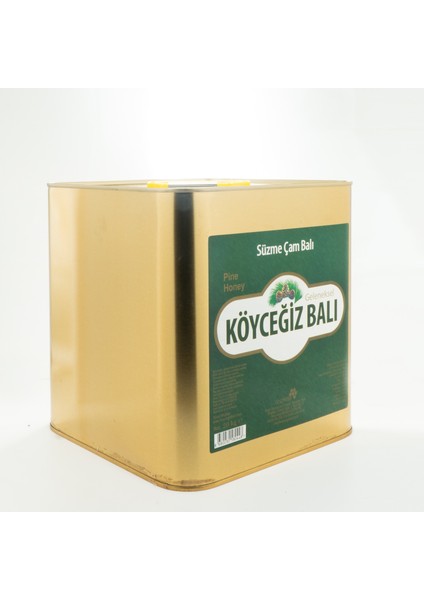 Çam Balı 10 Kg Teneke