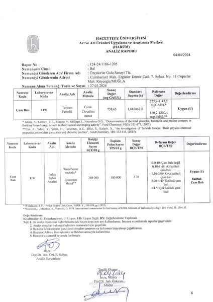 Çam Balı 10 Kg Teneke