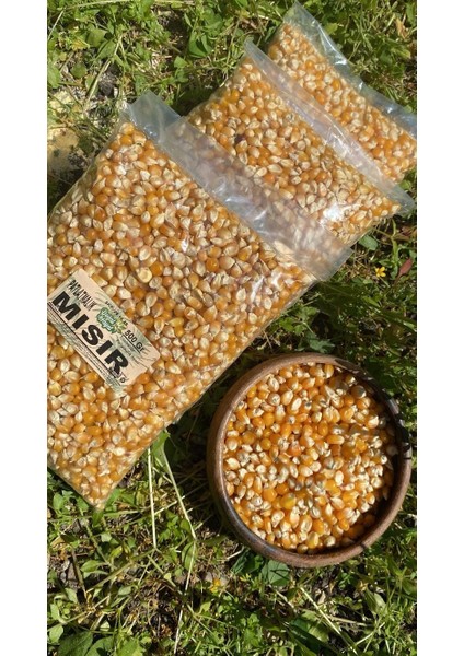 Patlatmalık Mısır 500 gr fiyatları