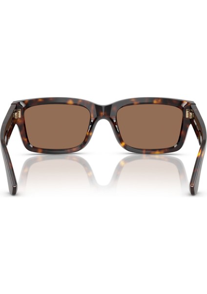 BE4443 Dikdörtgen Kahve Kadın Güneş Gözlüğü indirimleri