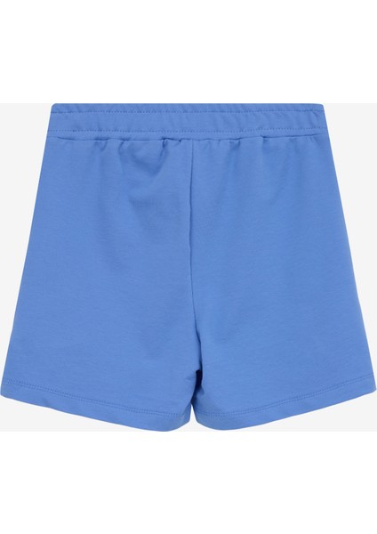 Lastikli Bel Standart Eflatun Kadın Şort BRB5SG-SRT6467 fiyatları