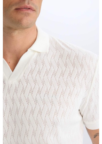 Regular Fit Polo Yaka Kısa Kollu Örgü Görünümlü Tişört B6536AX25SP indirimleri