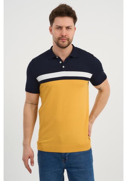 Polo Yaka Düğmeli Renk Bloklu Triko T-Shirt