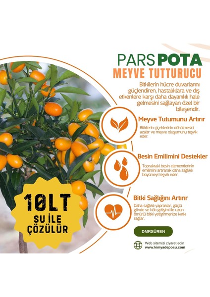 Pota Ev Bitkisi Meyve Tutturucu Sıvı 50 ml (10 Litre Su İçin)