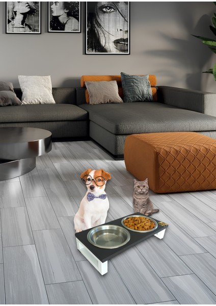 Kedi ve Köpekler Için Dayanıklı Mama ve Su Standı – Sağlıklı ve Şık Tasarım Okay Store indirimleri