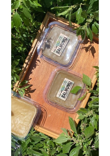 Balmumu 100 gr fiyatları