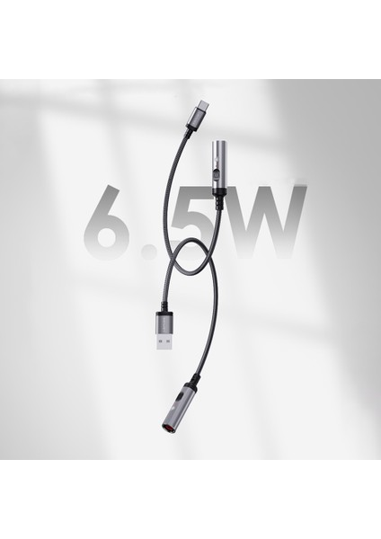 Type-C Portlu Elektronik Çakmak Lenyes LC110-TC Bükülme ve Aşınmaya Dayanıklı 30CM Gri