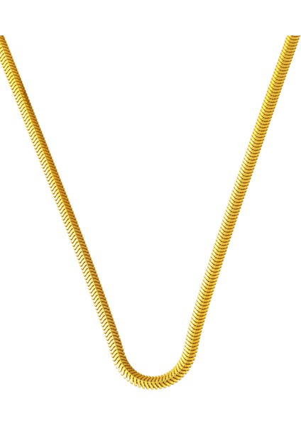 Ünisex Balıksırtı 14 Ayar Altın Zincir Kolye 45 cm