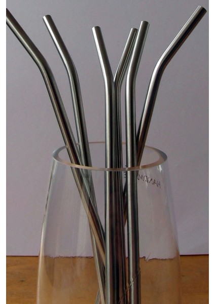 Metal Pipet - Paslanmaz Çevre Dostu Metal Pipet Fırça Seti 5 Parça
