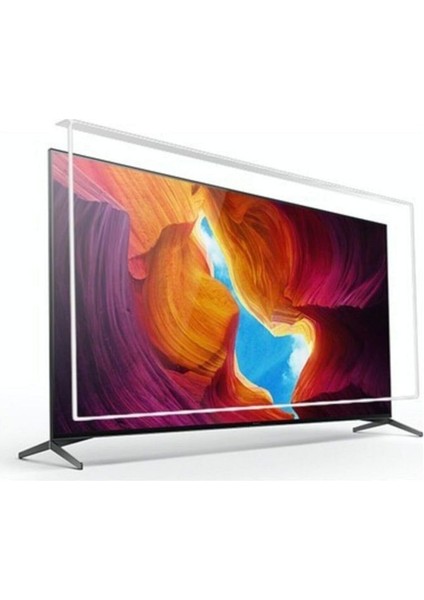 Televizyon Ekran Koruyucu Vesplus 47"