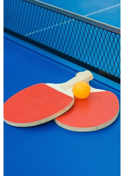 3 Toplu Masa Tenisi Raket Takımı 2 Raket 3 Top Set Masa Tenisi Raket Seti