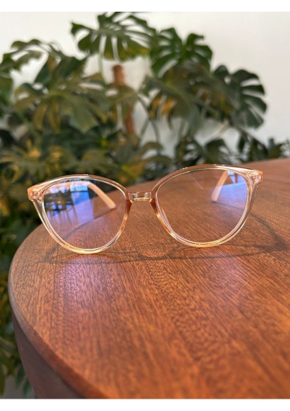 Nude Şeffaf Açık Kahve Gövde Nude Sap Popüler Cat Eye Gözlük indirimleri