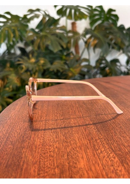 Nude Şeffaf Açık Kahve Gövde Nude Sap Popüler Cat Eye Gözlük