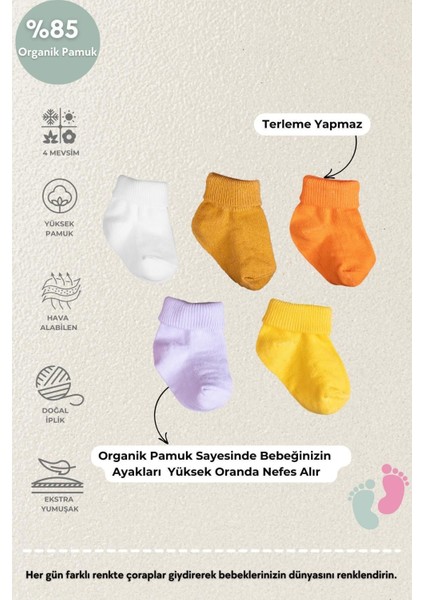 Poffibabyorganik Pamuk Unisex 5'li Kutulu Premium Yeni Doğan Bebek Çorabı fiyatları