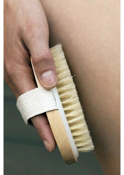 Doğal At Kılı Fırça Selülit Fırçası Cilt Bakım Fırçası fiyatları