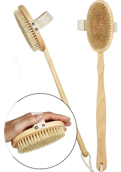 At Kılı Fırçası Doğal Selülit Fırçası Çıkarılabilir Saplı modelleri