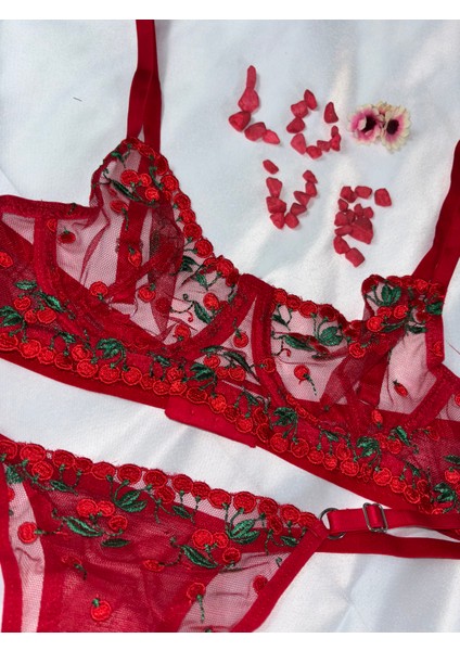 Kırmızı Kiraz Detaylı Dantelli Bralet Takım Sütyen Takımı (Sütyen&tanga) fiyatları