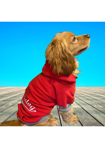 Leader Red Orta-Büyük Irk Köpek Sweatshirtü (11 kg-36 kg arası köpeklere uygundur)