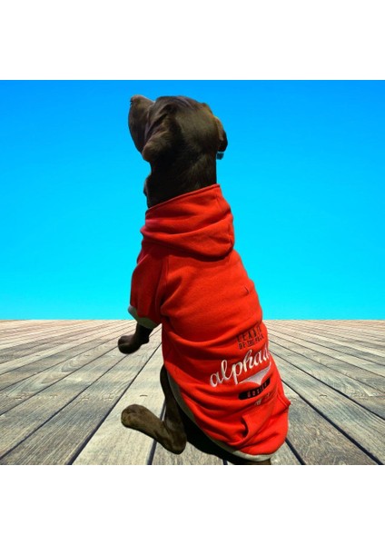 Leader Red Orta-Büyük Irk Köpek Sweatshirtü (11 kg-36 kg arası köpeklere uygundur) fiyatları