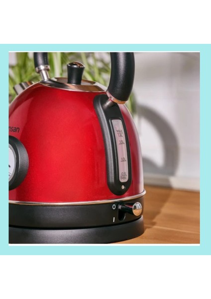 304 Paslanmaz Çelik Gövde Kettle Red modelleri