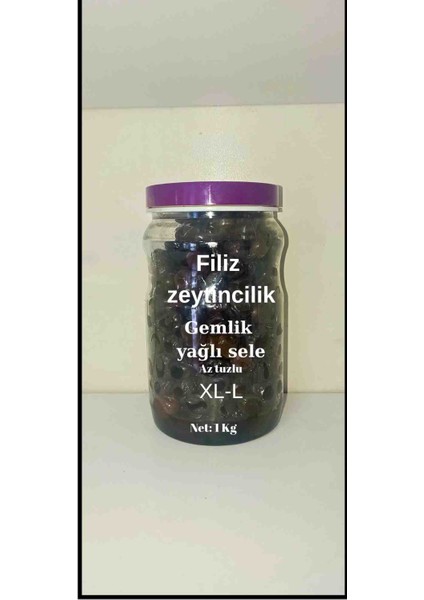 Xl-L Gemlik Zeytin Az Tuzlu